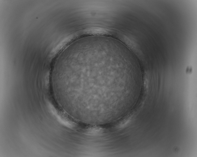 X0000111050206200906251441