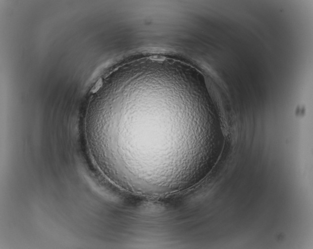 X0000111050207200906251441