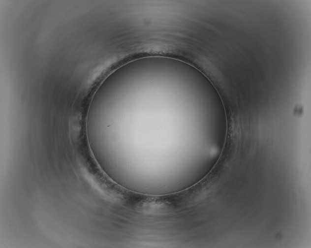 X0000111050208200906251441