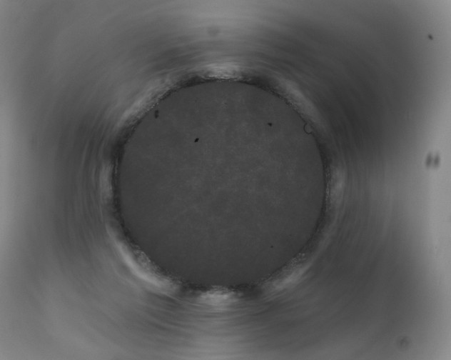 X0000111050213200906251441