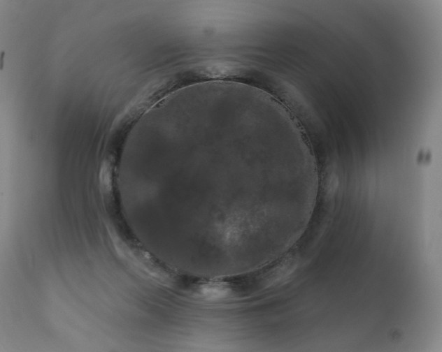 X0000111050214200906251441