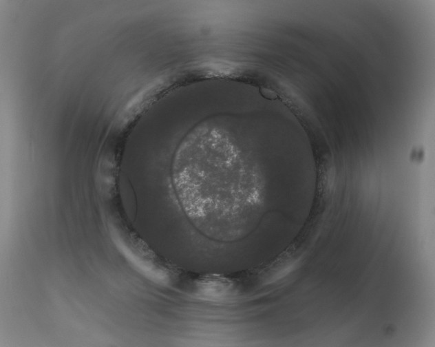 X0000111050215200906251441