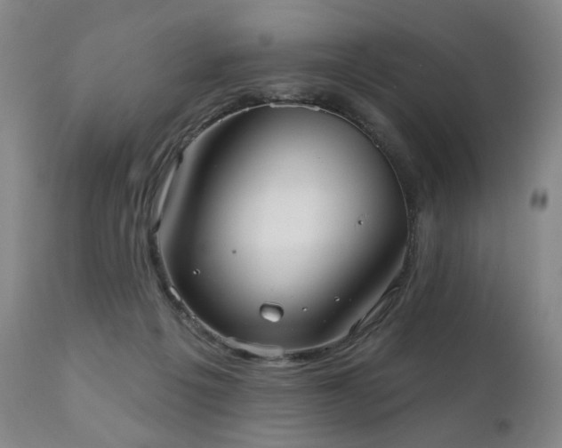 X0000111050217200906251441