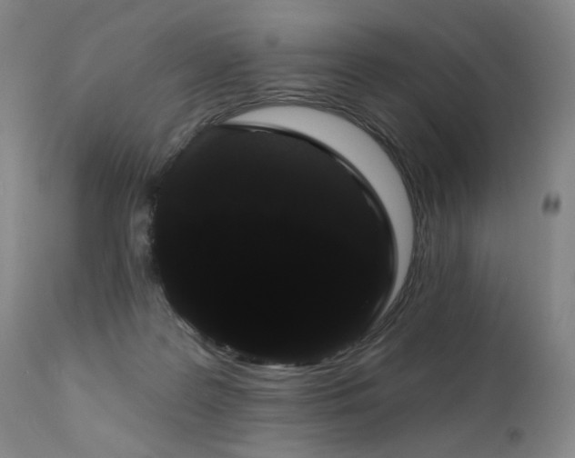 X0000111050219200906251441