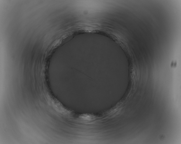 X0000111050221200906251441