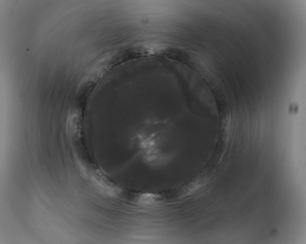 X0000111050222200906251441