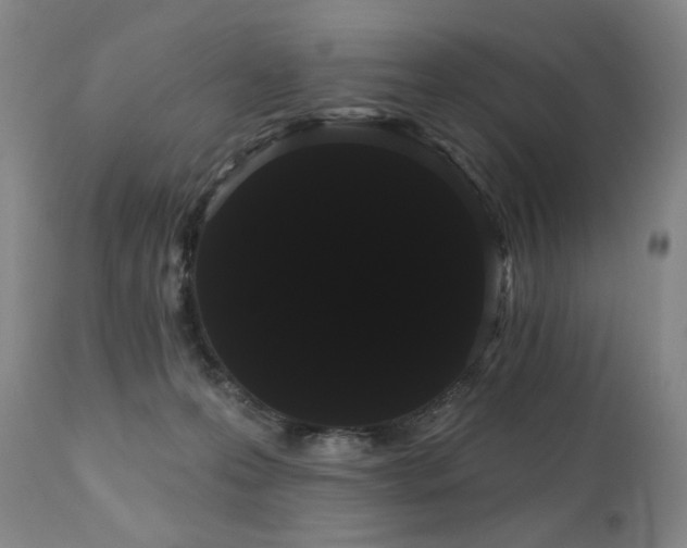 X0000111050223200906251441