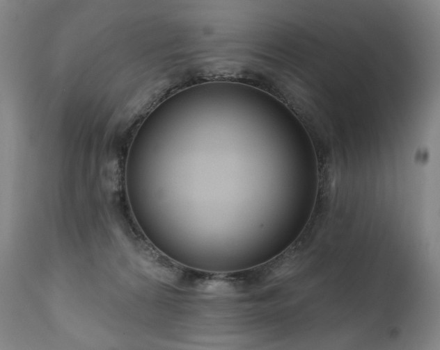 X0000111050224200906251441