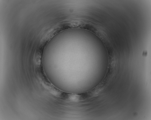 X0000111050226200906251441