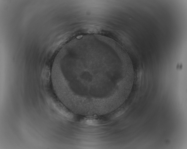 X0000111050228200906251441