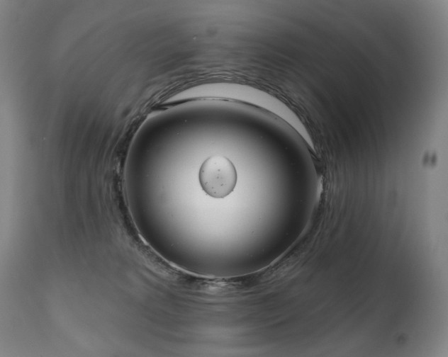 X0000111050229200906251441