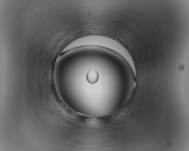 X0000111050231200906251441