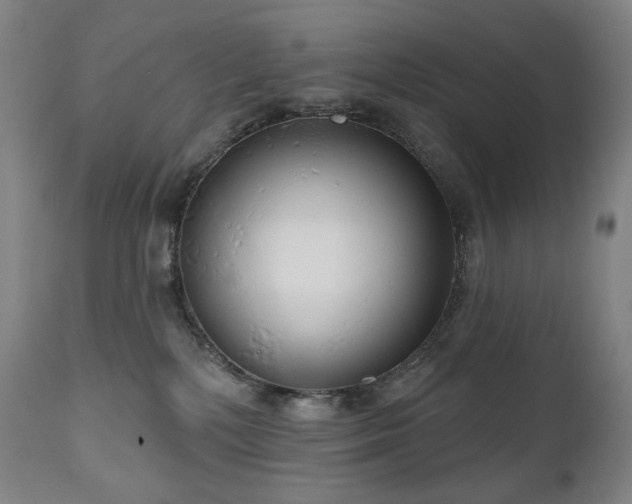 X0000111050232200906251441