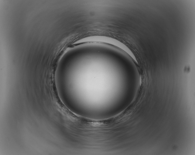 X0000111050233200906251441