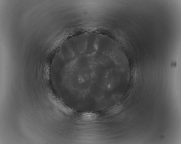 X0000111050234200906251441