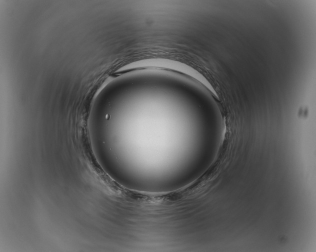 X0000111050235200906251441