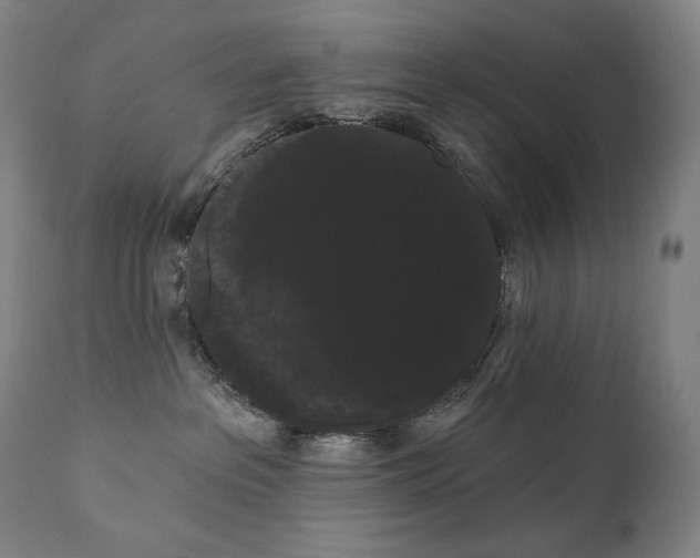 X0000111050237200906251441