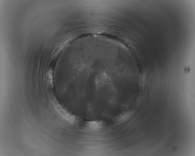 X0000111050238200906251441