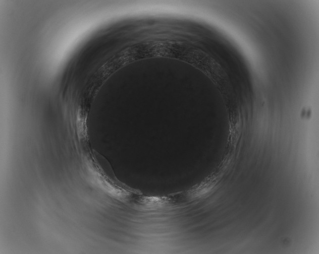 X0000111050239200906251441