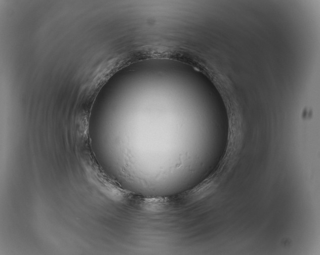 X0000111050240200906251441