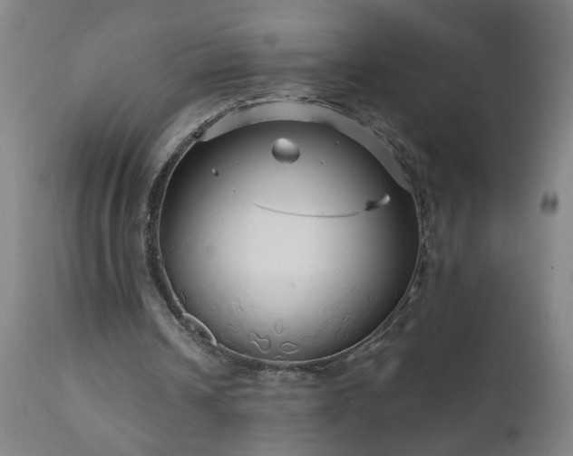 X0000111050242200906251440