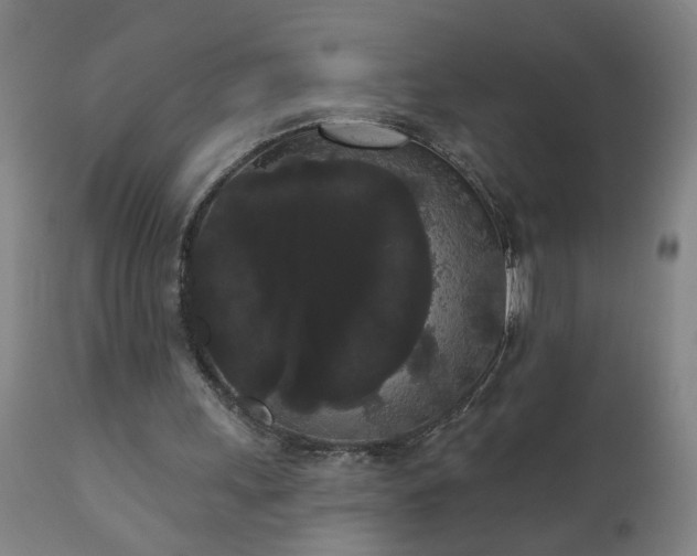 X0000111050243200906251440