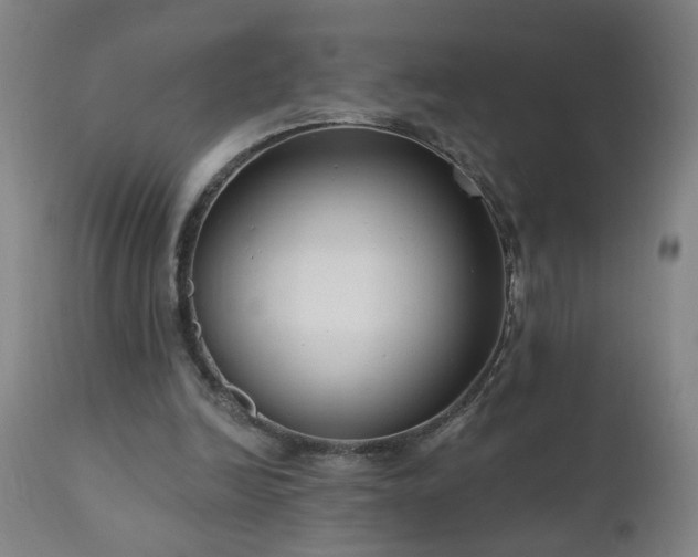 X0000111050246200906251440