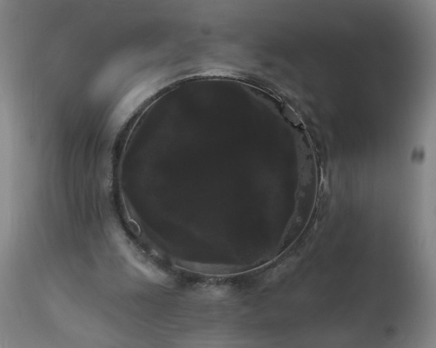 X0000111050247200906251440