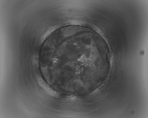 X0000111050249200906251440