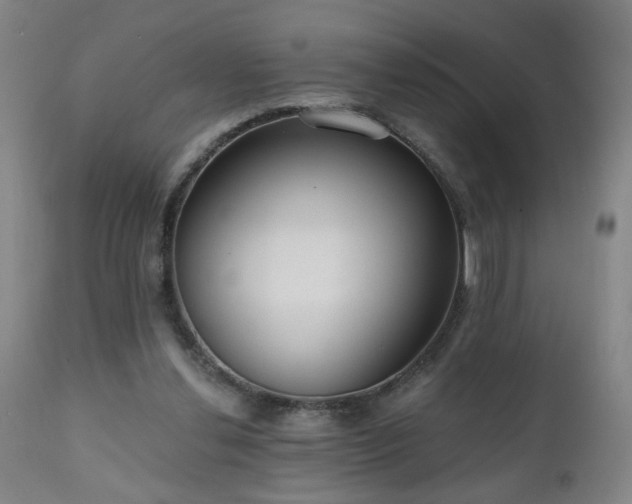 X0000111050252200906251440