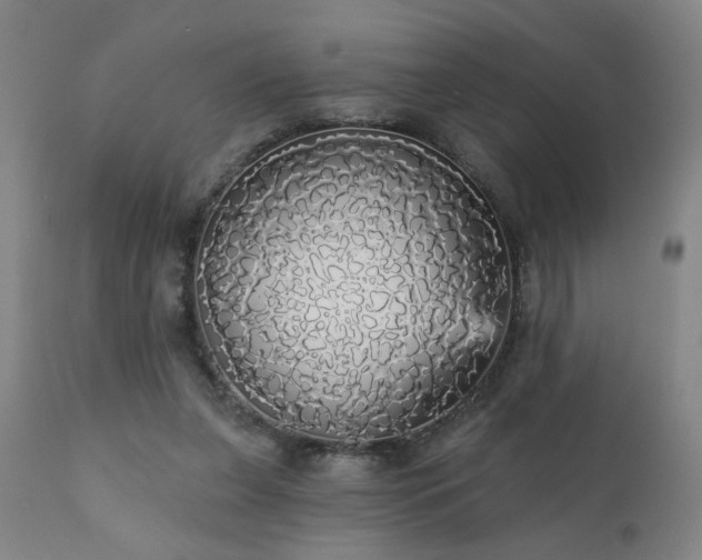 X0000111050255200906251440