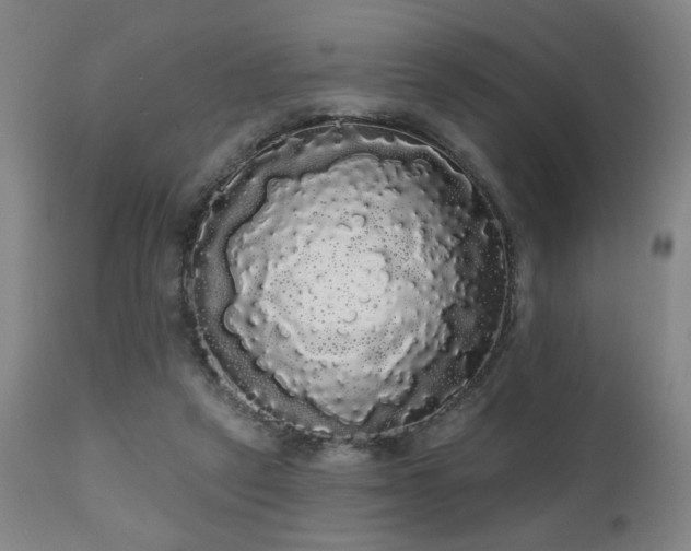 X0000111050257200906251440