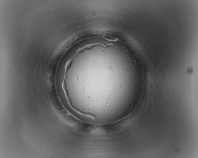 X0000111050258200906251440