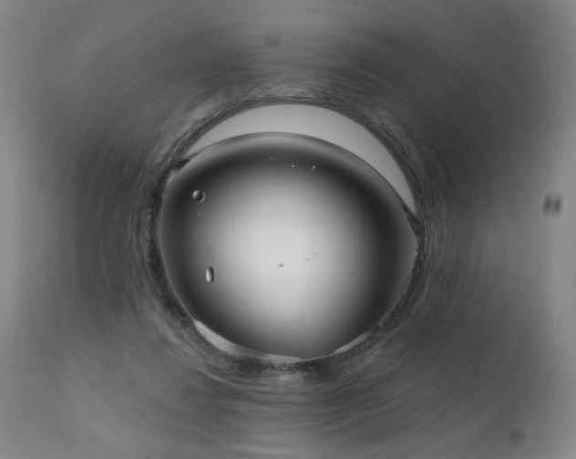 X0000111050260200906251440