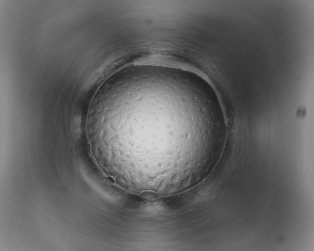 X0000111050262200906251440