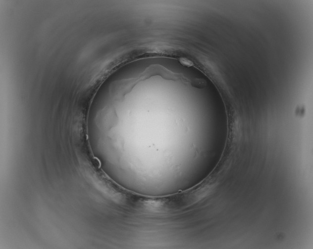 X0000111050265200906251440