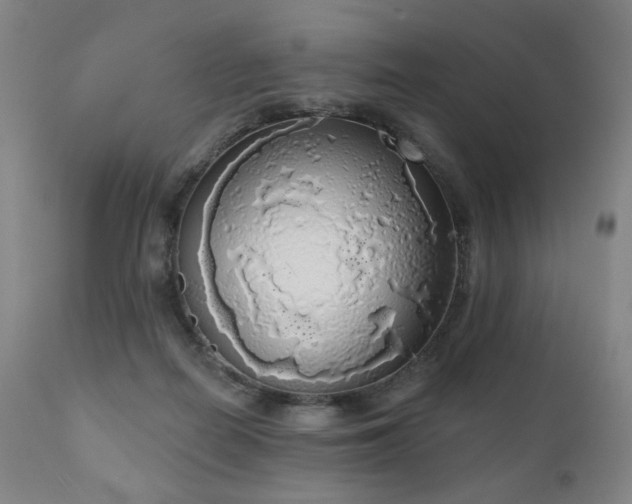 X0000111050266200906251440