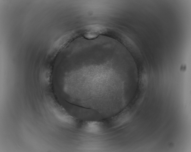 X0000111050268200906251440