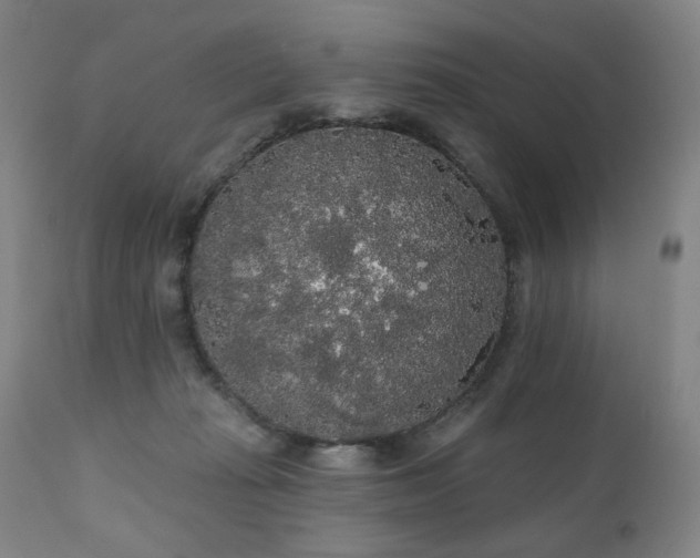 X0000111050269200906251440