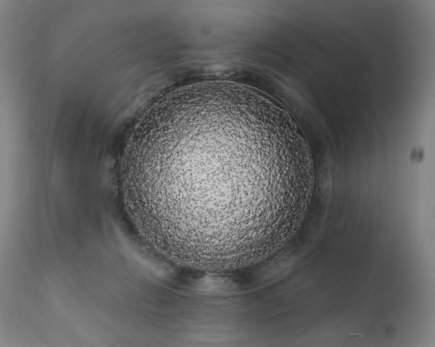 X0000111050270200906251440