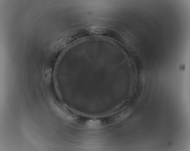 X0000111050271200906251440