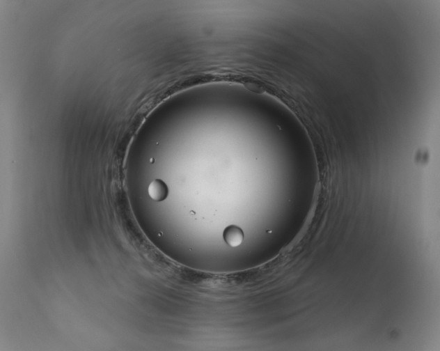 X0000111050272200906251440