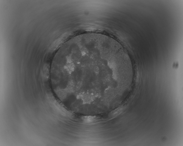 X0000111050273200906251440