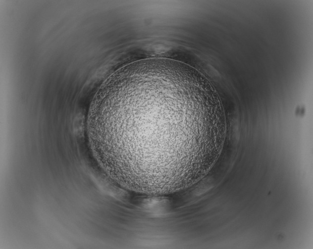 X0000111050274200906251440