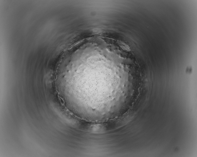 X0000111050275200906251440