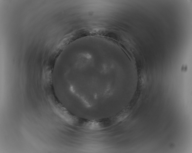 X0000111050276200906251440