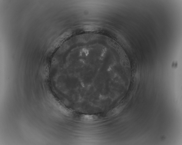 X0000111050277200906251440