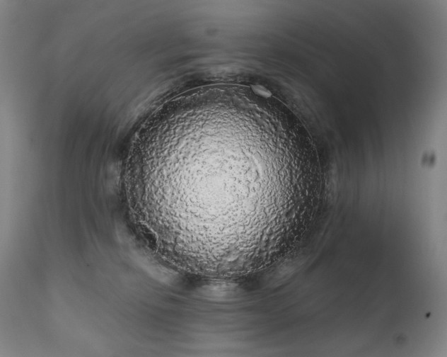 X0000111050278200906251440