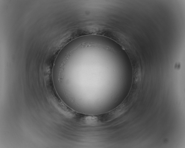 X0000111050279200906251440