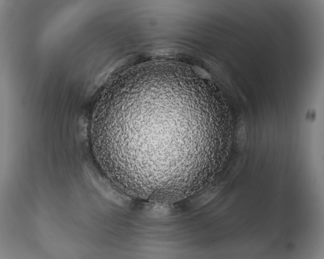 X0000111050282200906251440